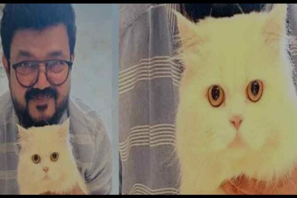 നാദിർഷയുടെ വളർത്തുപൂച്ച ചത്തത് ഹൃദയാഘാതം മൂലം; കേസ് അവസാനിപ്പിച്ച് പൊലീസ്