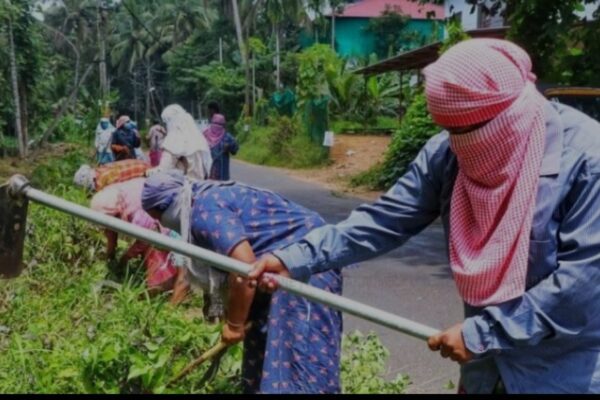 തൊഴിലുറപ്പ് പദ്ധതിയിലെ ക്രമക്കേടുകള് : സംസ്ഥാന വ്യാപക ഓഡിറ്റിന് കേന്ദ്ര ഗ്രാമവികസന മന്ത്രാലയത്തിന്റെ നിര്ദേശം