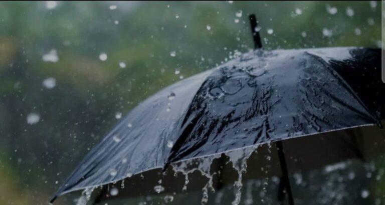 മഴ കനക്കും; എട്ട് ജില്ലകളിൽ ഇന്നും നാളെയും യെല്ലോ അലർട്ട്