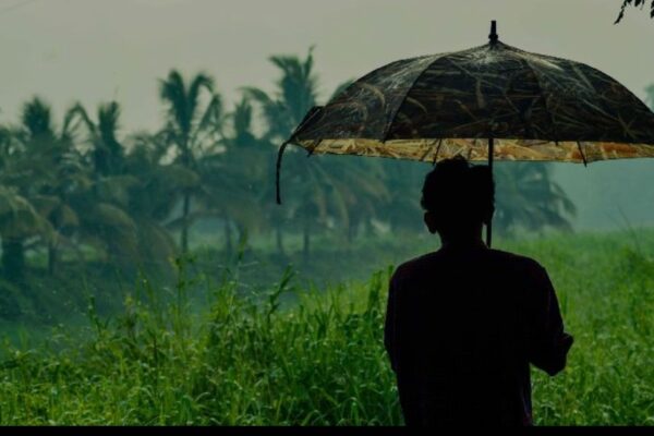 സംസ്ഥാനത്ത് ഇന്ന് ശക്തമായ മഴയ്ക്ക് സാധ്യത; 7 ജില്ലകളിൽ യെല്ലോ അലേർട്ട്