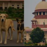 തെരുവുനായ ആക്രമണം, അസാധാരണ നീക്കവുമായി സുപ്രീംകോടതി, ചീഫ് സെക്രട്ടറിമാരെ വിളിച്ചുവരുത്തു